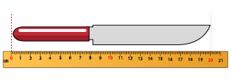 Measure Length using Metric Units | Grade 3
